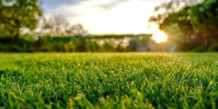 Lukes & Company Landscape LLC Picture 2