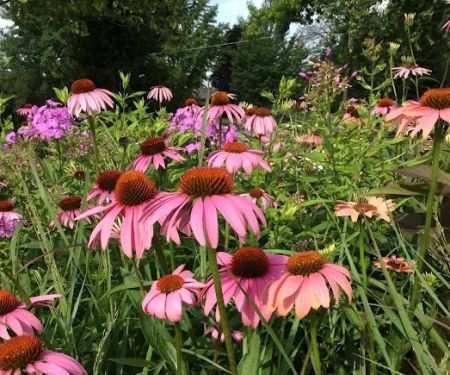 Dan Larsen Landscaping, Inc.