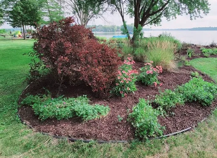 Husty Lawns & Services LLC Picture 10