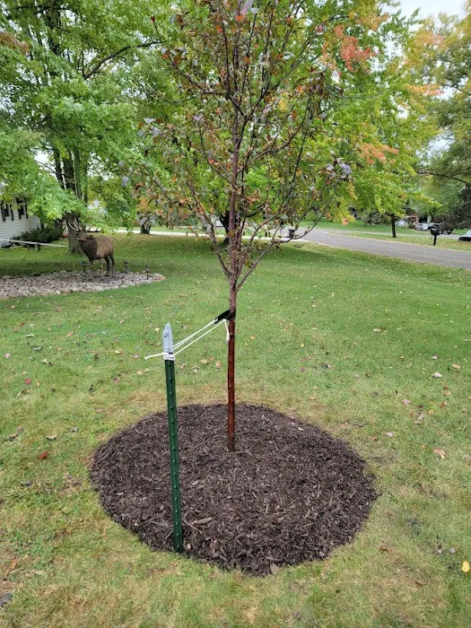 Husty Lawns & Services LLC Picture 6