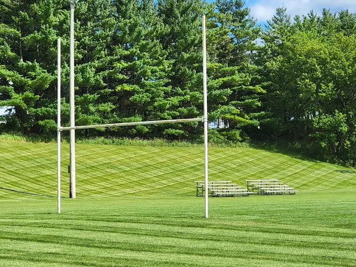 Husty Lawns & Services LLC Picture 3