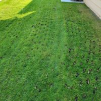 Husty Lawns & Services LLC ico