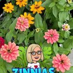 Fox Den Landscape & Nursery