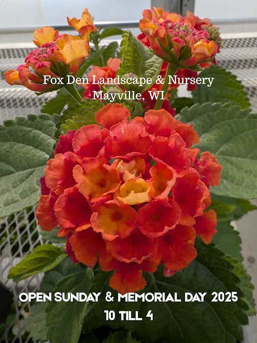 Fox Den Landscape & Nursery Picture 7