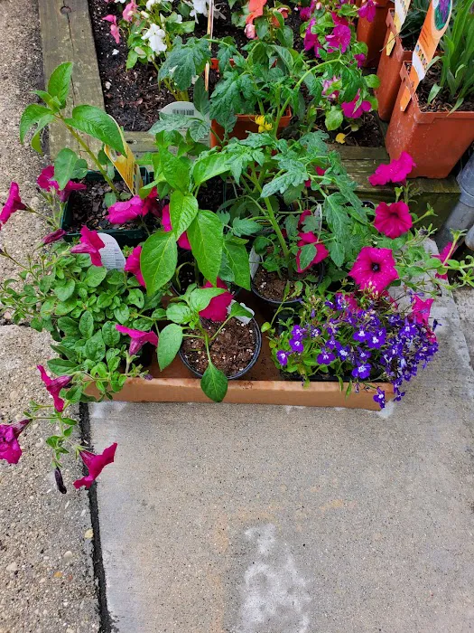 Fox Den Landscape & Nursery Picture 8