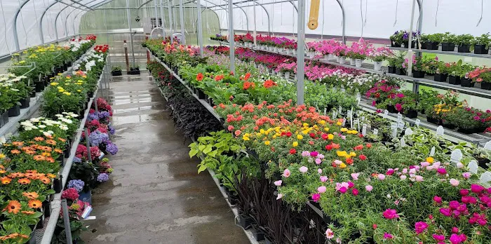 Fox Den Landscape & Nursery Picture 6