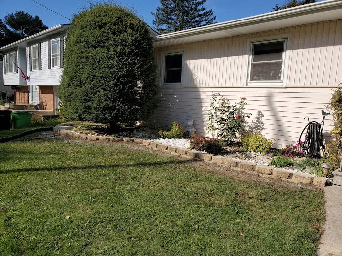 K & B Tree & Lawn Care Picture 6