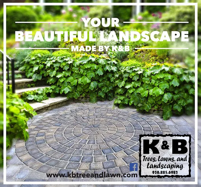 K & B Tree & Lawn Care Picture 8