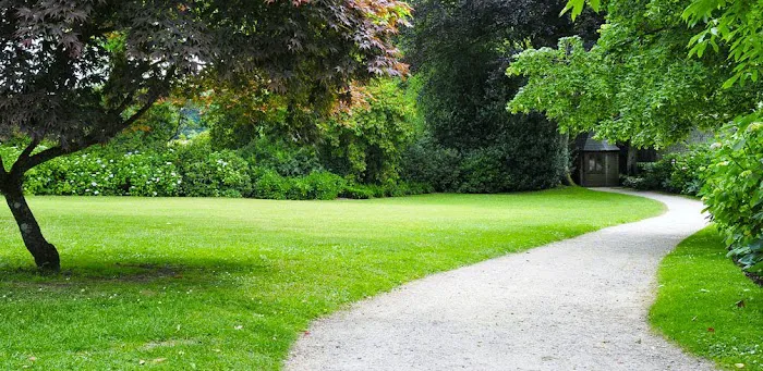 K & B Tree & Lawn Care Picture 2