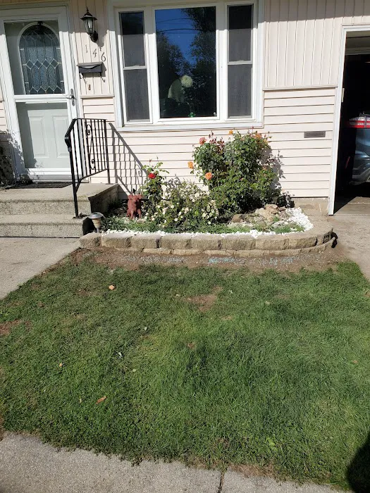 K & B Tree & Lawn Care Picture 4