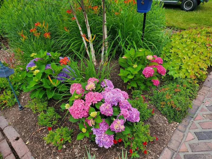 Creative Touch Landscape Services LLC Picture 8