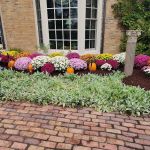 Creative Touch Landscape Services LLC