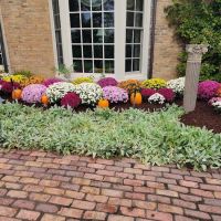 Creative Touch Landscape Services LLC ico