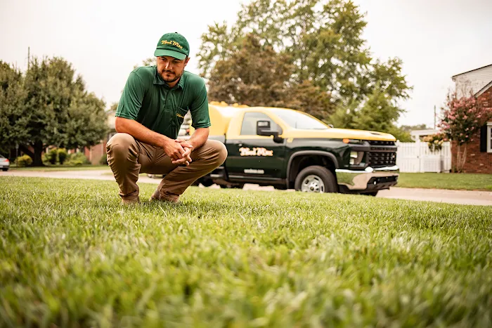 Weed Man Lawn Care Picture 8