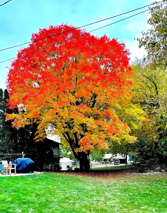 A.J. Grandscapes Picture 6