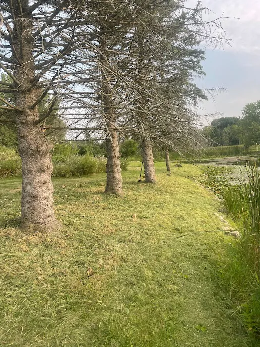 Trophy Fish pond care and mowing Picture 1