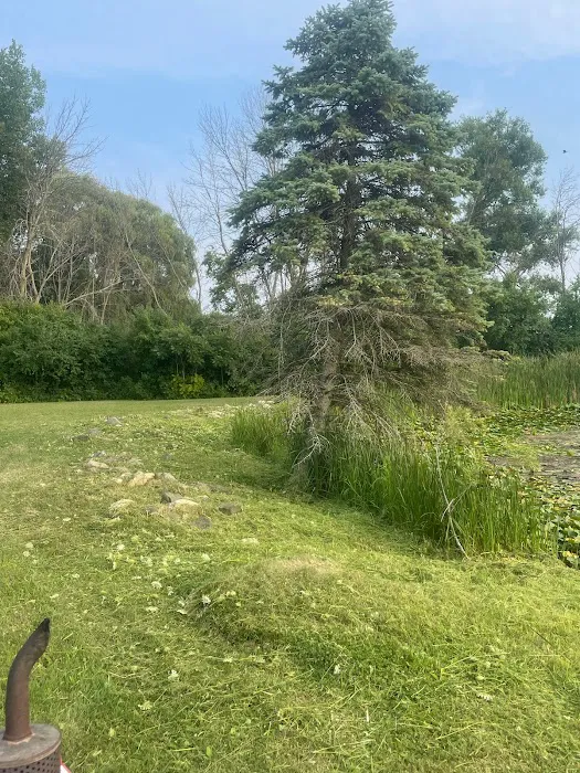 Trophy Fish pond care and mowing Picture 2