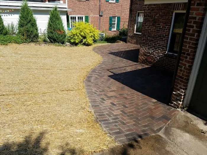 Earthscapes, Inc. Picture 6