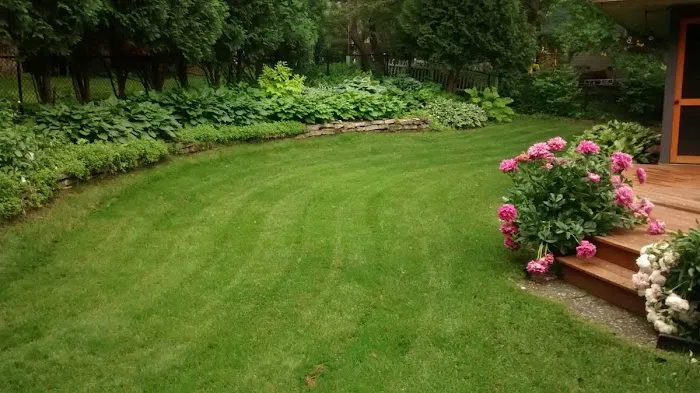 Kingdom Lawn Care LLC Picture 4