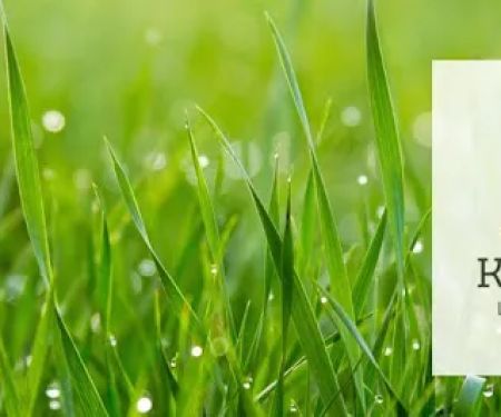 Kingdom Lawn Care LLC
