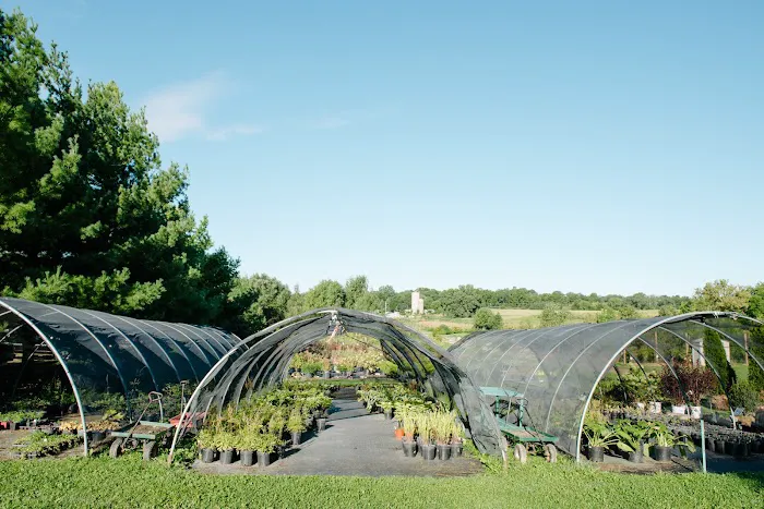 Avant Gardening & Landscaping Picture 6