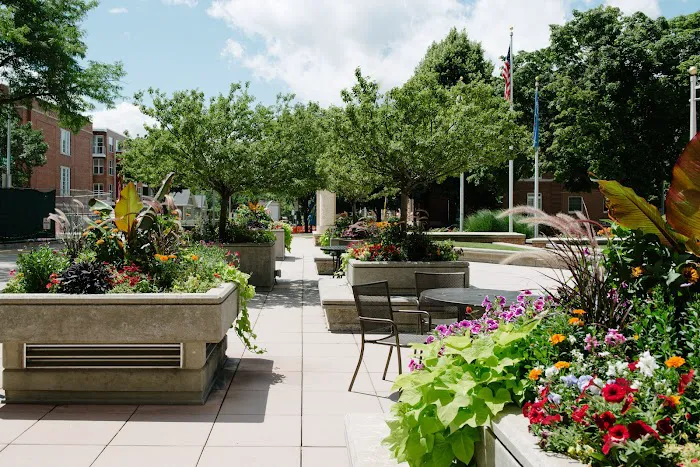 Avant Gardening & Landscaping Picture 7