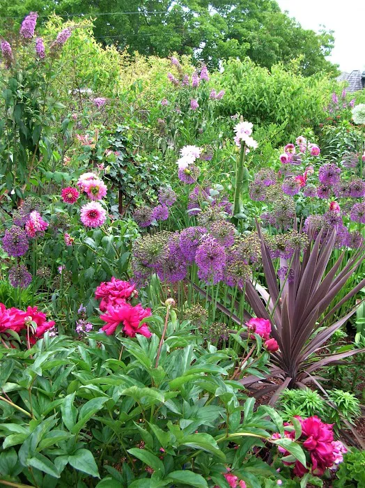 Schönheit Gardens Picture 6