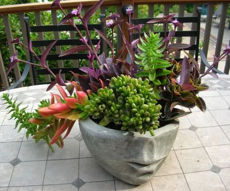 Schu00f6nheit Gardens