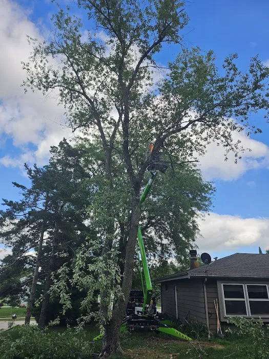 Bartel Lawn & Landscaping LLC Picture 10