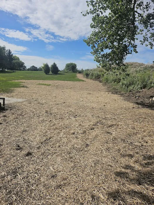Bartel Lawn & Landscaping LLC Picture 3