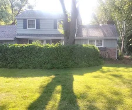 Bartel Lawn & Landscaping LLC