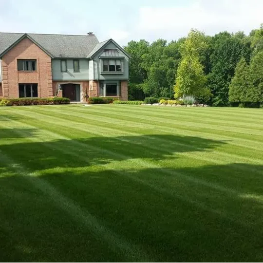 Herriges Lawn & Landscaping Picture 5