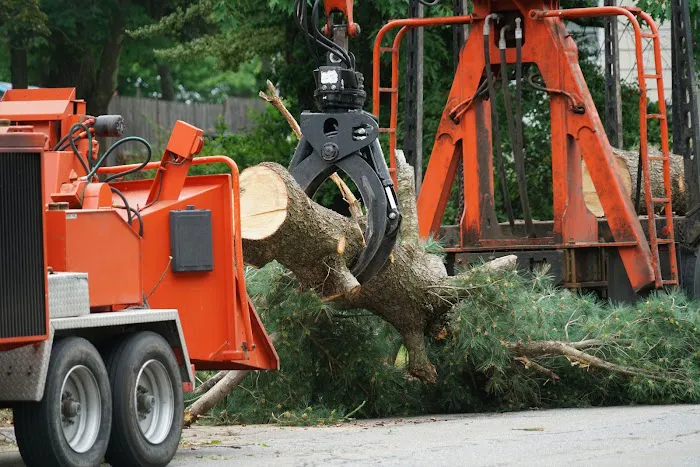 Turf & Tree Worx Picture 1