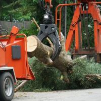 Turf & Tree Worx ico