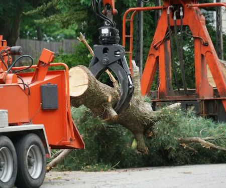Turf & Tree Worx