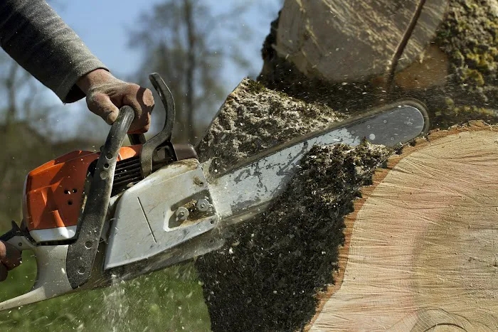 Turf & Tree Worx Picture 10