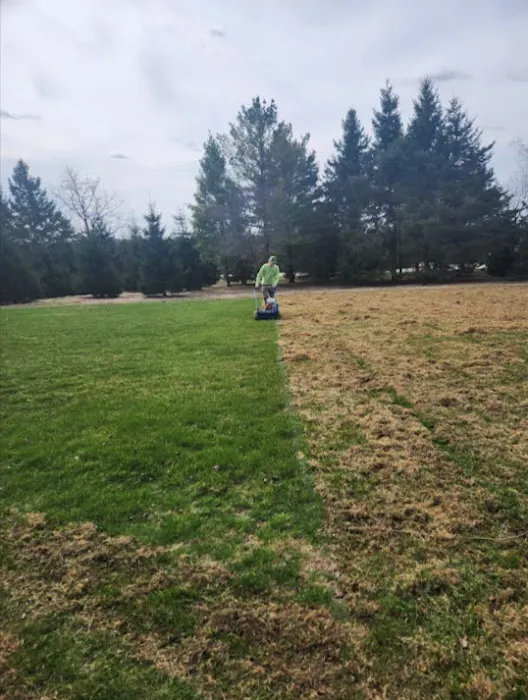 Turf & Tree Worx Picture 4