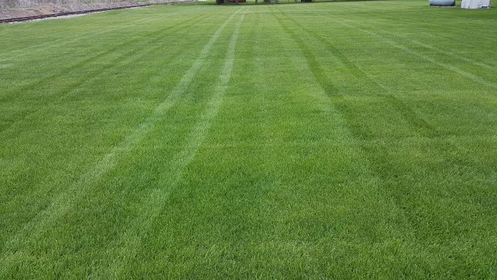 Lawn Tamer LLC Picture 3