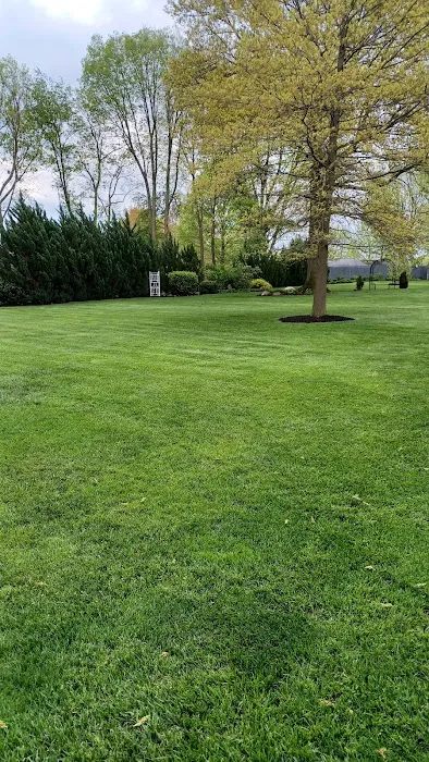 Lawn Tamer LLC Picture 1