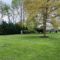Lawn Tamer LLC ico