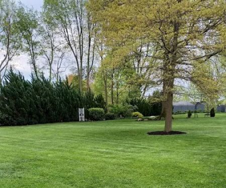 Lawn Tamer LLC