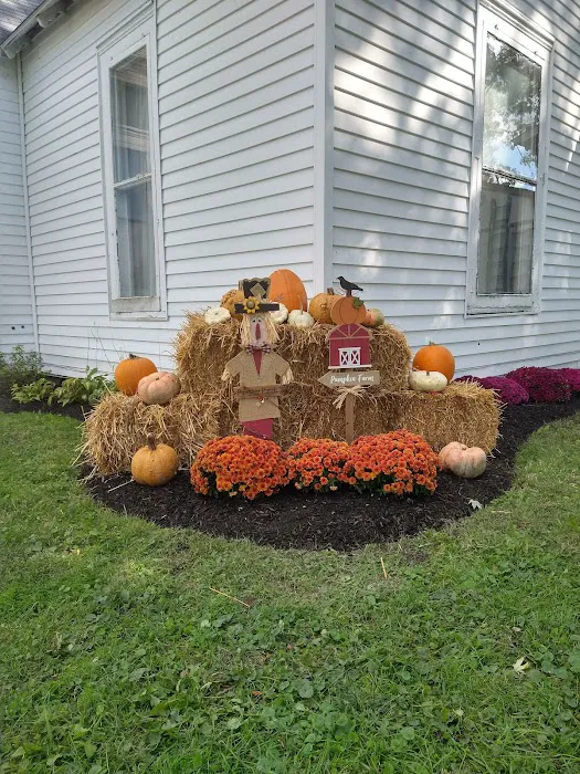 Rock Bottom Landscaping Picture 6