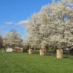 K.D. Landscaping, Inc.