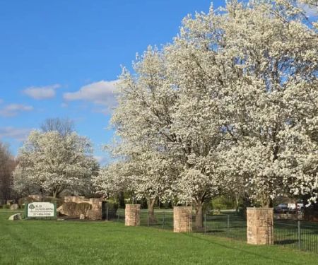 K.D. Landscaping, Inc.