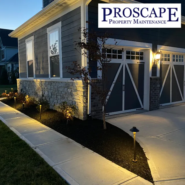 Proscape Property Maintenance Westfield Picture 1