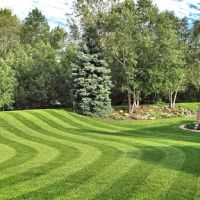 Pro Edge Turf ico