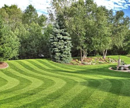 Pro Edge Turf