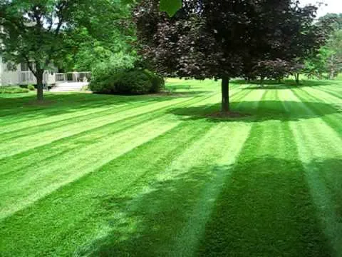 Pro Edge Turf Picture 2