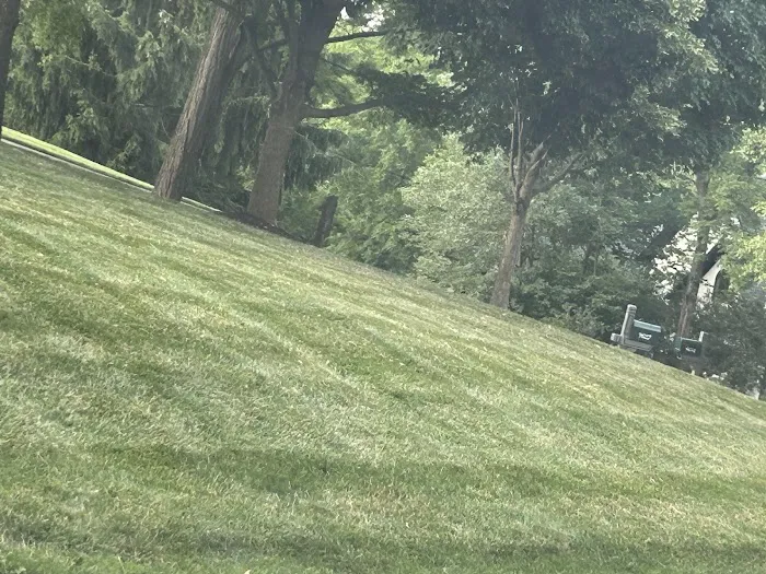 L & N lawncare services Picture 10