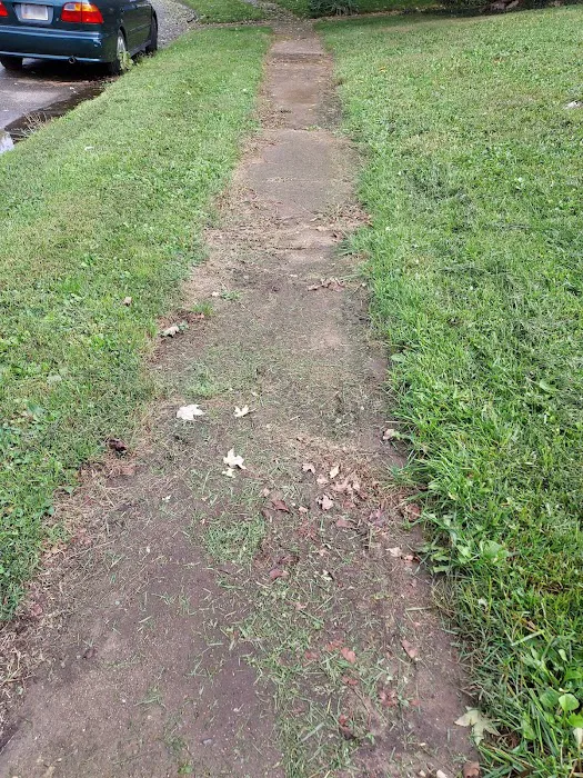 L & N lawncare services Picture 2